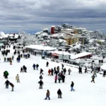 Manali Honeymoon Tour Package: Rs. 7,999/- Per Person