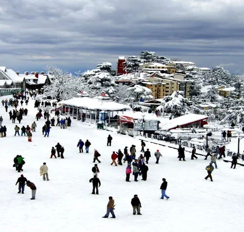 Manali Honeymoon Tour Package: Rs. 7,999/- Per Person