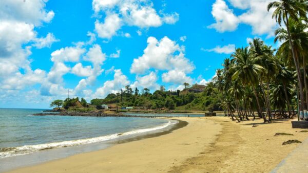 Andaman Tour Premium Package: Rs. 66,000/- Per Couple
